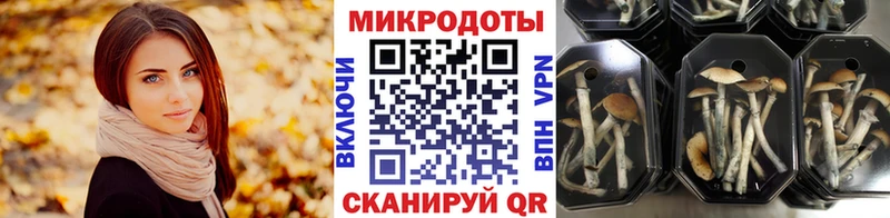 Псилоцибиновые грибы Psilocybine cubensis  Купить где  Ртищево 